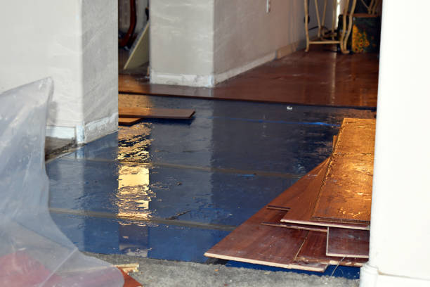Professional Burst Pipe Cleanup technician working in Chocowinity, NC
